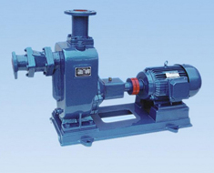 �������۱�ZW